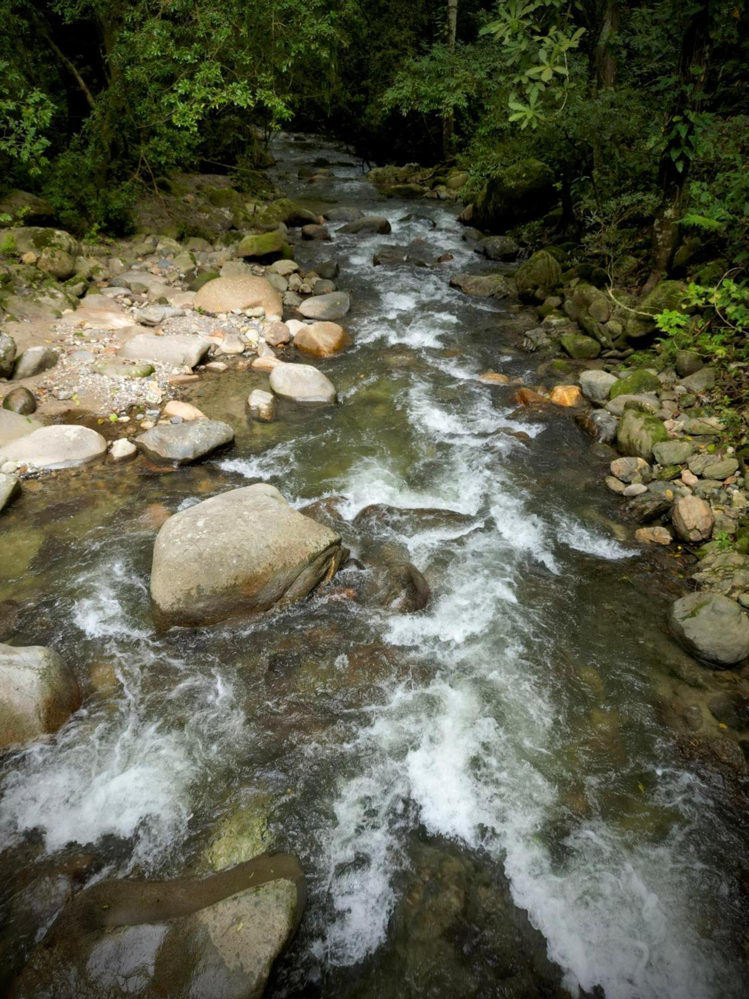 Las Cabanas Del Rio Minca Extérieur photo